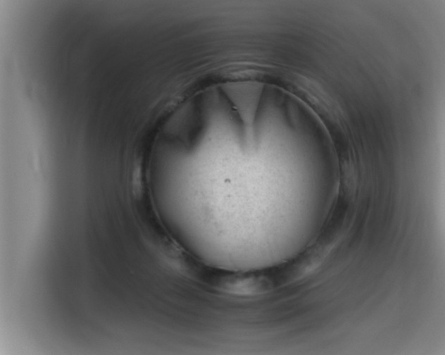 X0000115680267200911191100