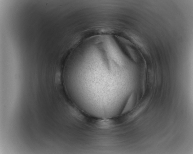 X0000115680269200911191100