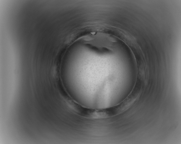 X0000115680270200911191100