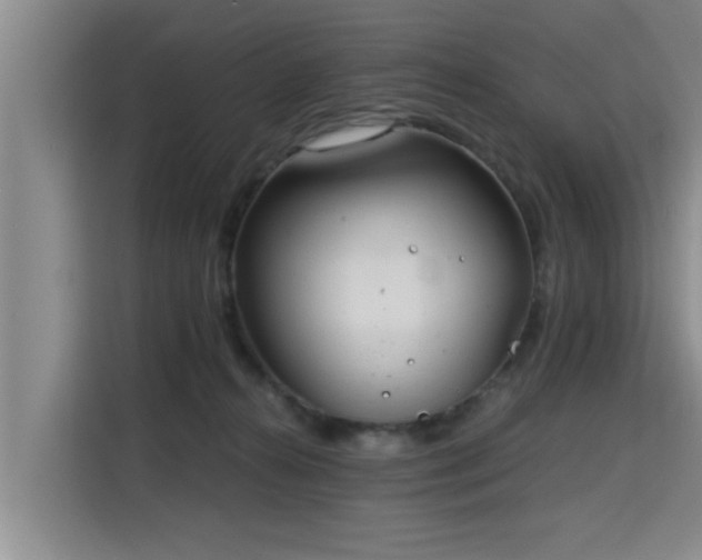 X0000115680272200911191100