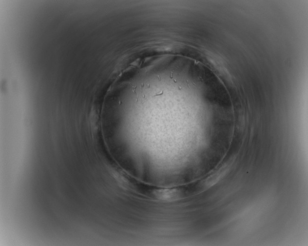 X0000115680273200911191100