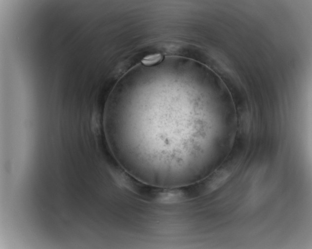 X0000115680274200911191100