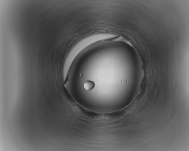 X0000115680276200911191100