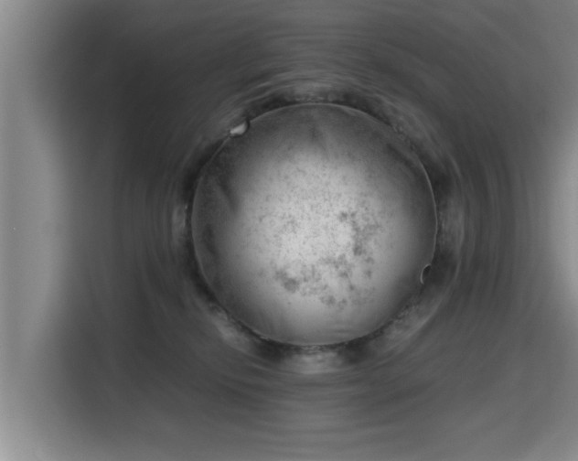 X0000115680278200911191100