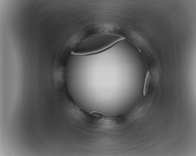 X0000115680280200911191100