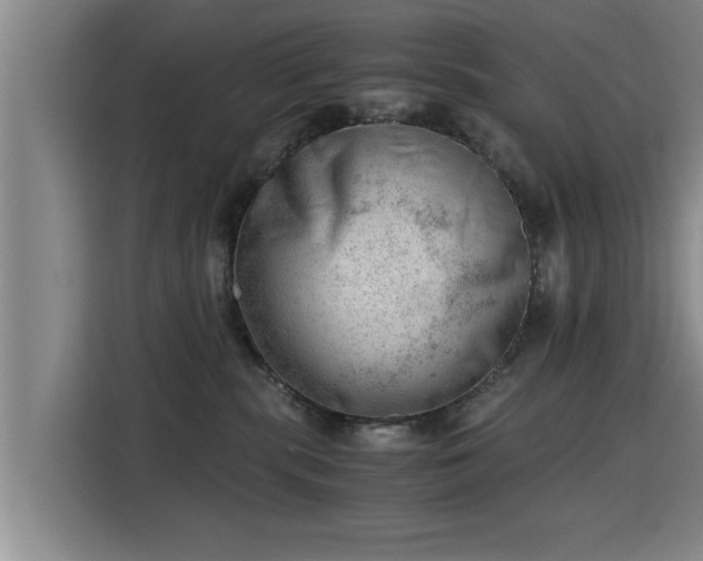 X0000115680283200911191100