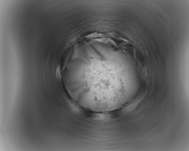 X0000115680286200911191100