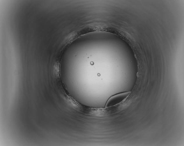 X0000115680288200911191100