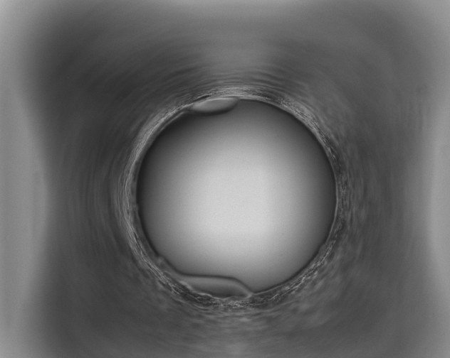 X0000115680289200911191059