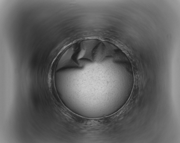 X0000115680290200911191059