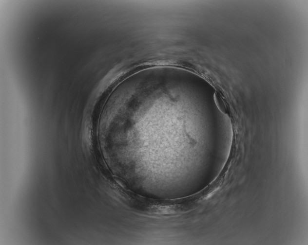 X0000115680295200911191059