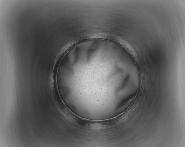 X0000115680298200911191059