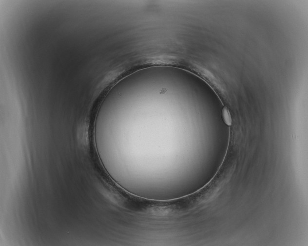 X0000115680299200911191059