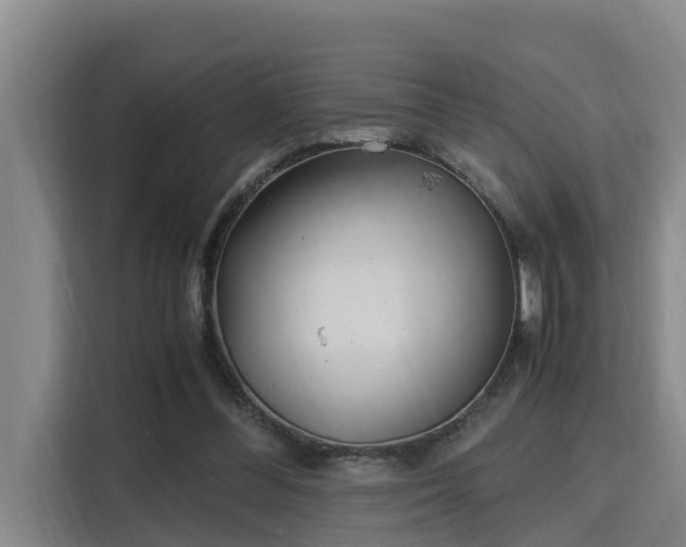 X0000115680300200911191059