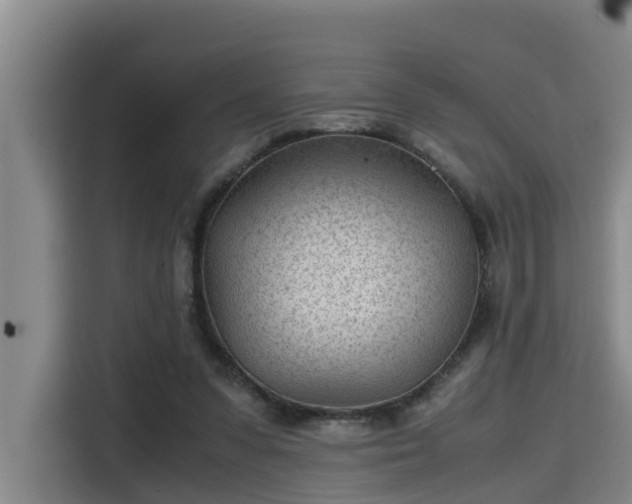 X0000115680303200911191059