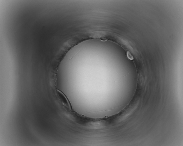 X0000115680307200911191059