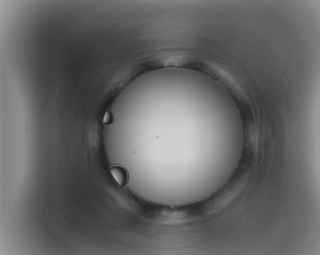 X0000115680311200911191059