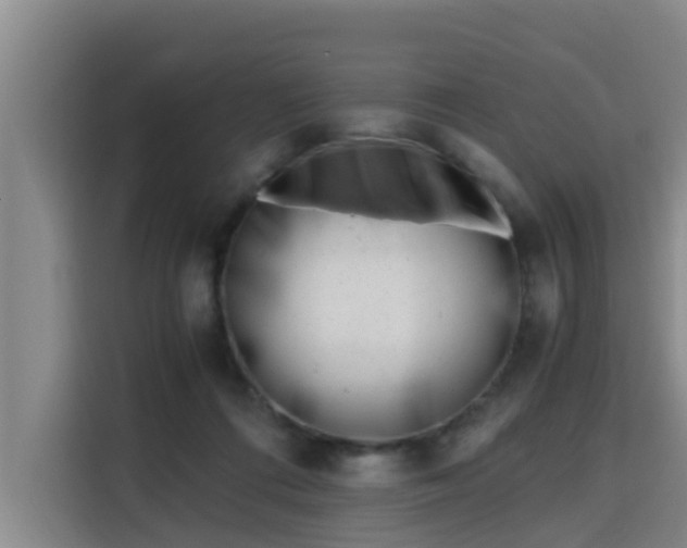 X0000115680312200911191059