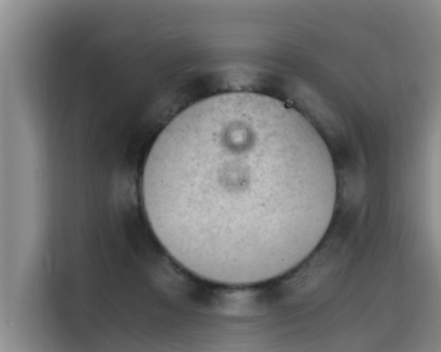 X0000115680313200911191059