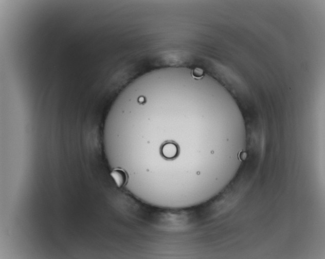 X0000115680317200911191059