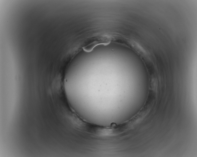 X0000115680318200911191059