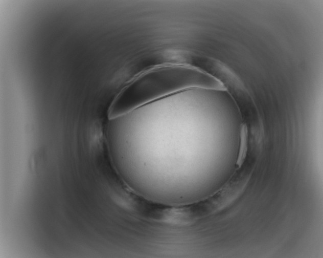 X0000115680320200911191059