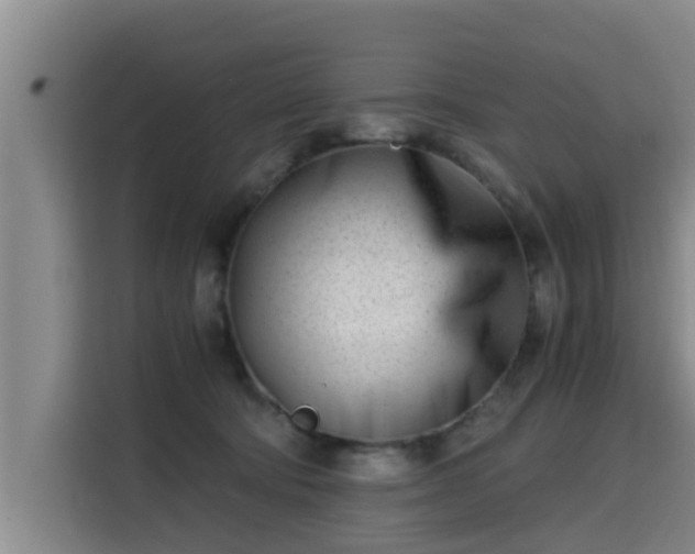 X0000115680322200911191059