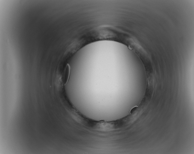 X0000115680327200911191059