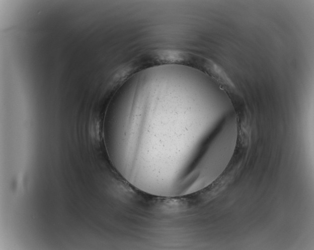 X0000115680330200911191059