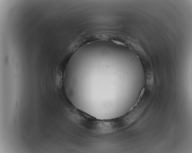 X0000115680332200911191059