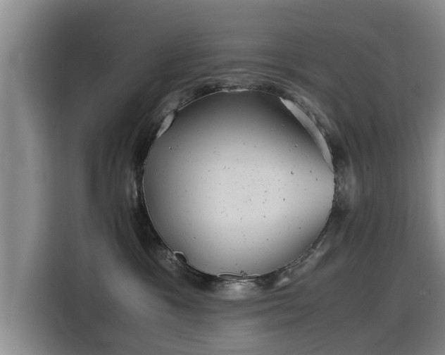 X0000115680333200911191059