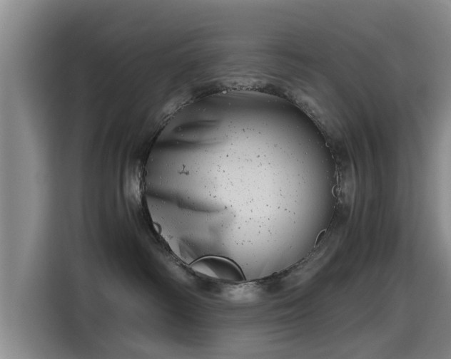 X0000115680334200911191059