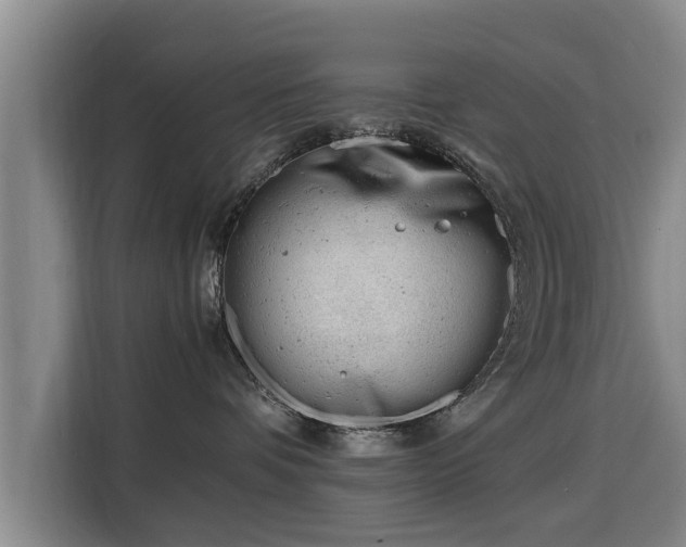 X0000115680336200911191059