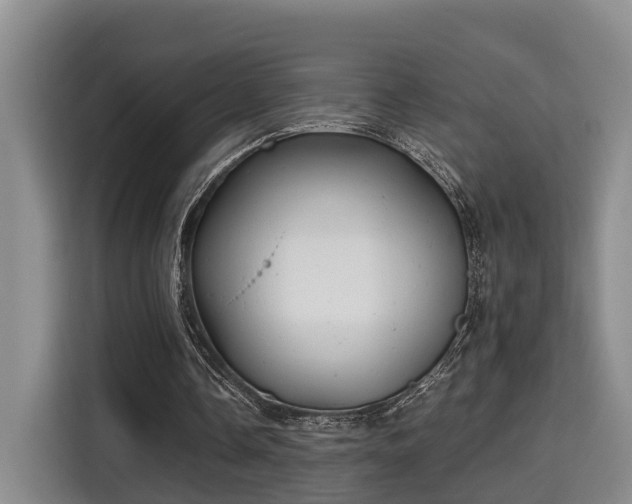 X0000115680338200911191058