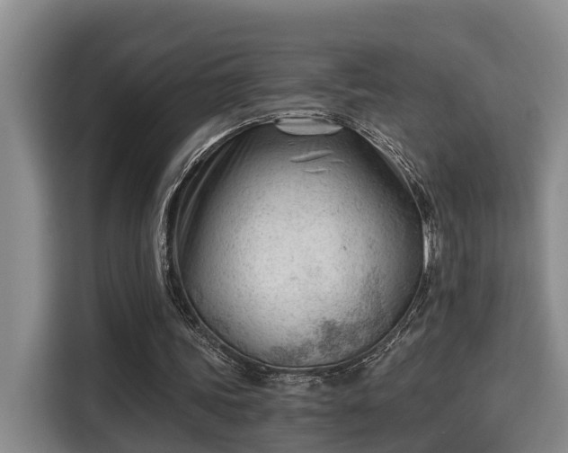 X0000115680339200911191058