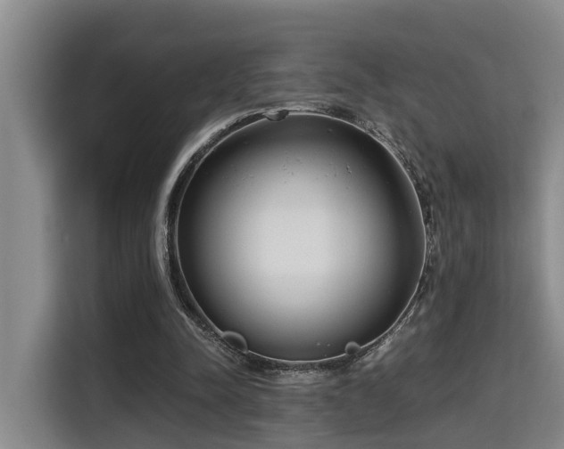 X0000115680342200911191058