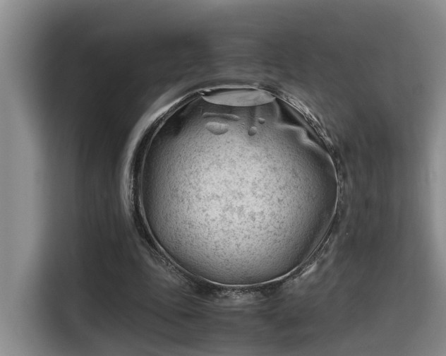 X0000115680343200911191058