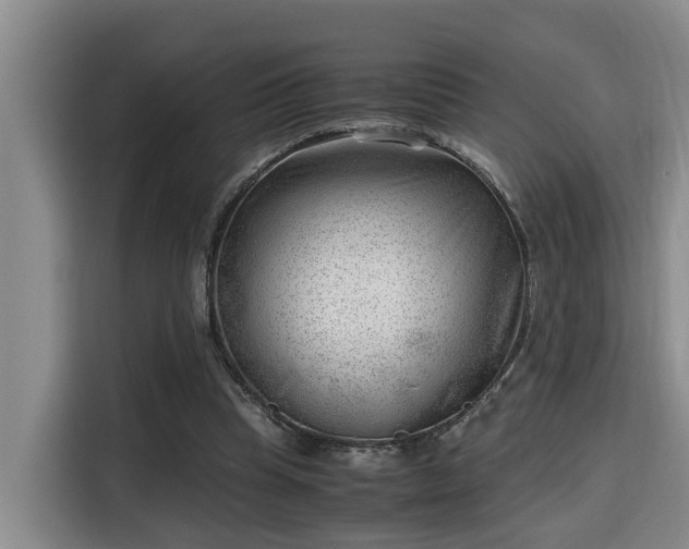 X0000115680345200911191058