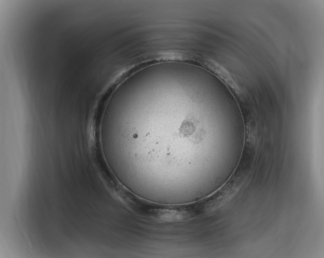 X0000115680347200911191058