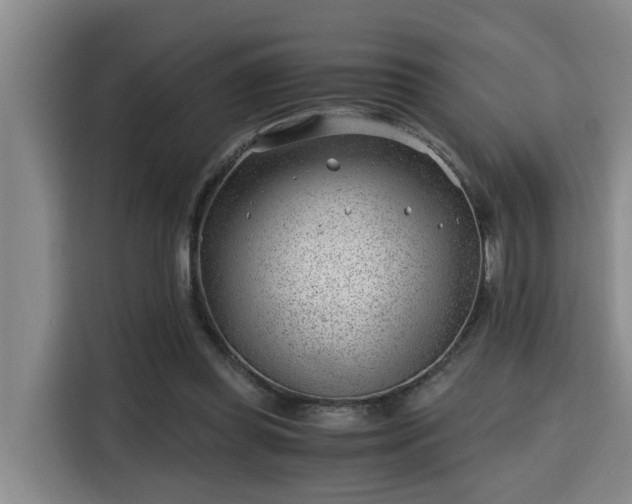 X0000115680349200911191058