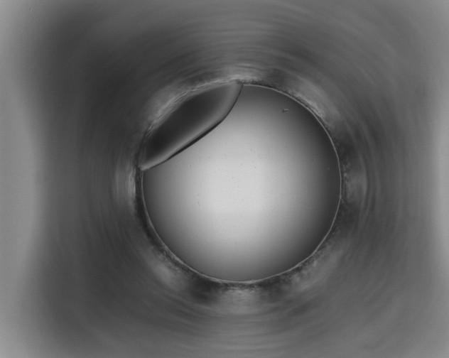 X0000115680350200911191058