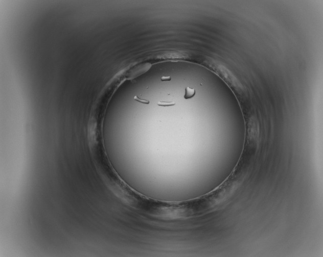 X0000115680351200911191058