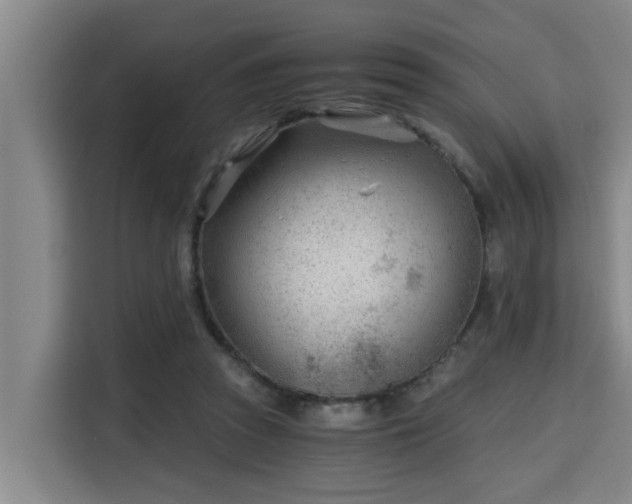 X0000115680353200911191058