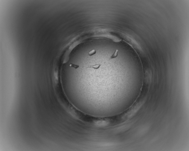 X0000115680358200911191058