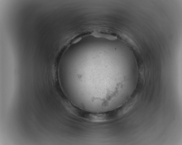 X0000115680359200911191058