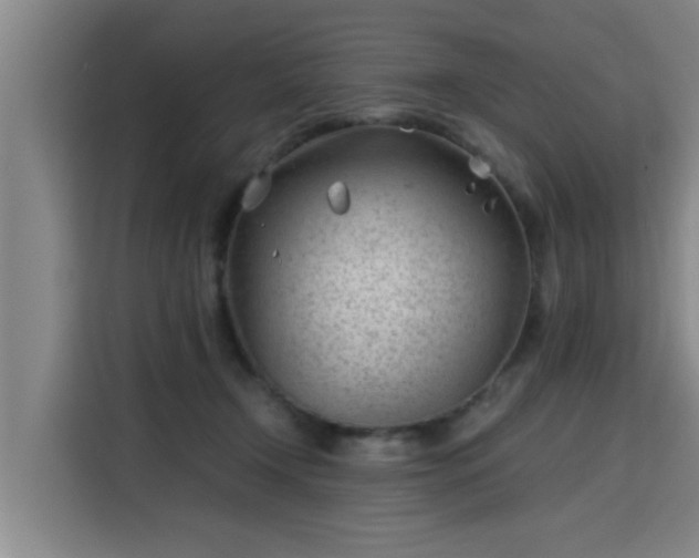 X0000115680366200911191058