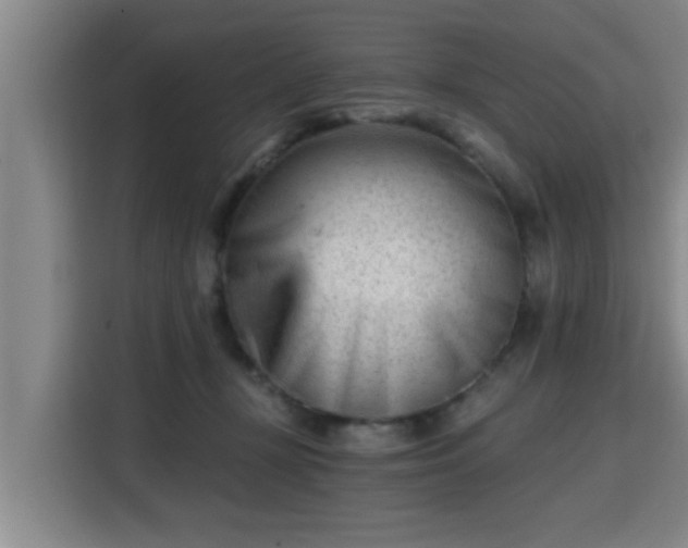 X0000115680367200911191058