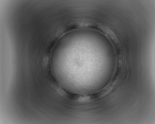 X0000115680369200911191058