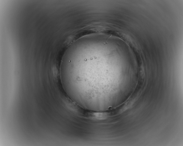 X0000115680371200911191058