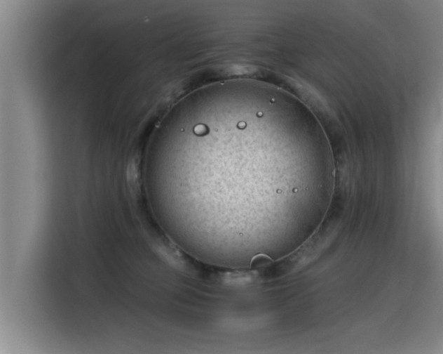 X0000115680373200911191058